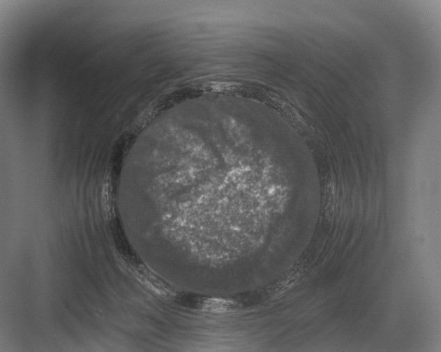 X0000082720222200702161849