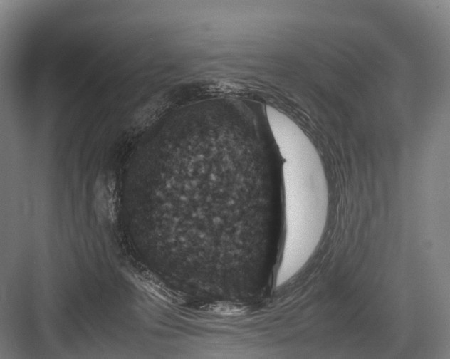 X0000082720223200702161849