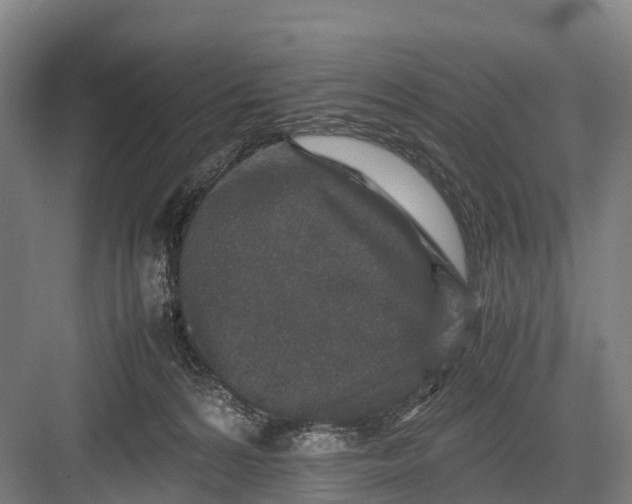 X0000082720224200702161849