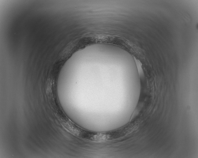 X0000082720225200702161849