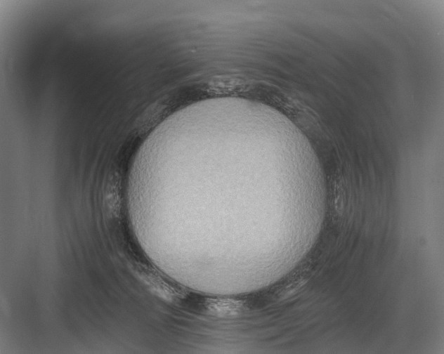 X0000082720226200702161849