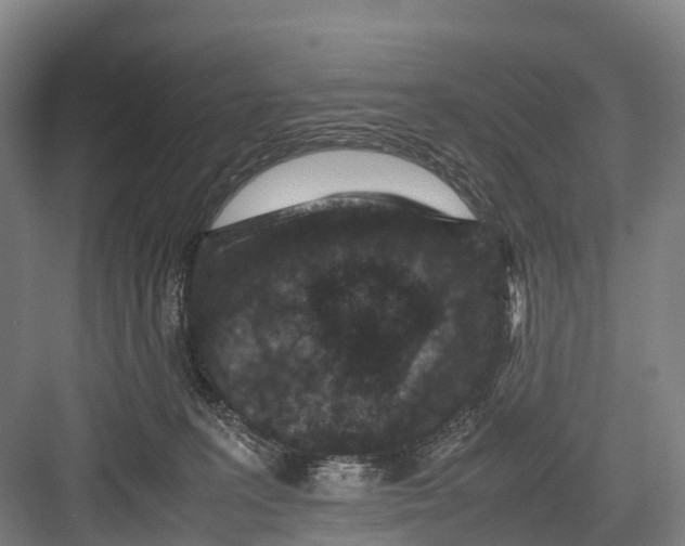 X0000082720227200702161849