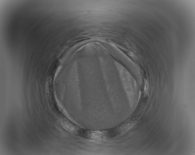 X0000082720229200702161849