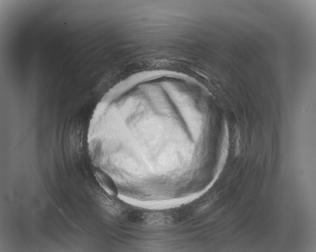 X0000082720230200702161849