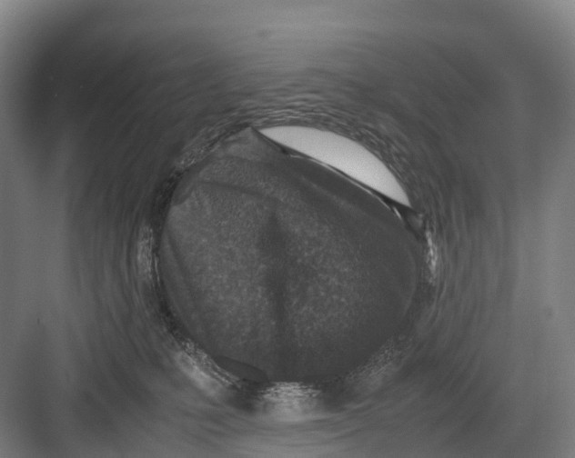 X0000082720231200702161849