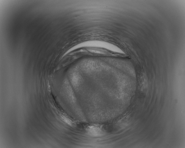 X0000082720232200702161849