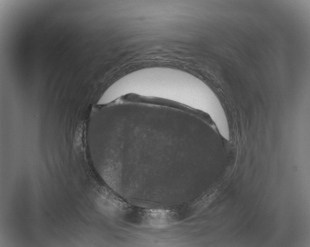 X0000082720233200702161849