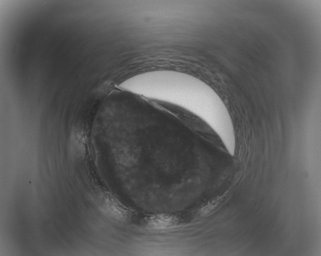 X0000082720235200702161849