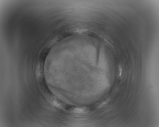 X0000082720236200702161849