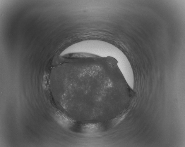 X0000082720237200702161849