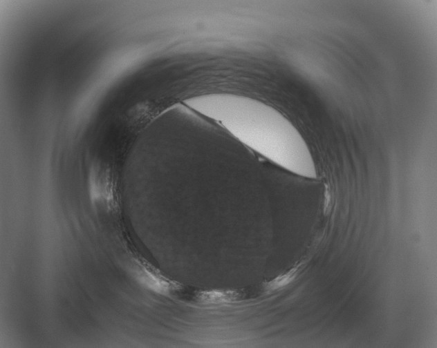 X0000082720239200702161849