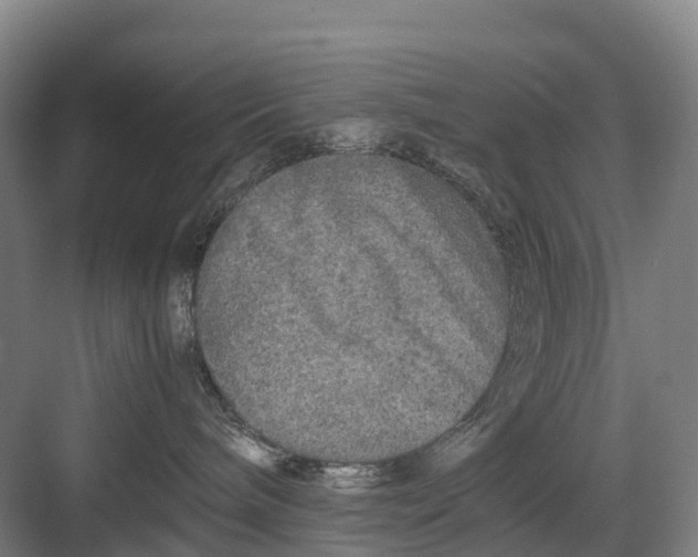 X0000082720240200702161849