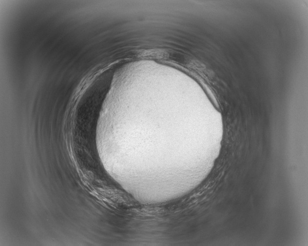 X0000082720241200702161848