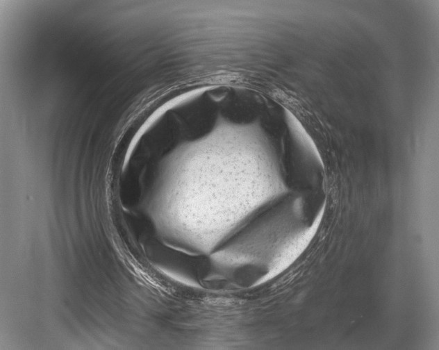 X0000082720242200702161848