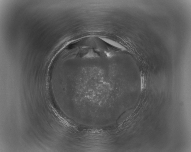 X0000082720243200702161848