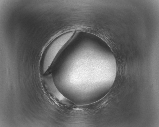 X0000082720244200702161848