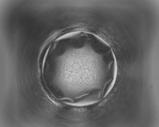 X0000082720245200702161848