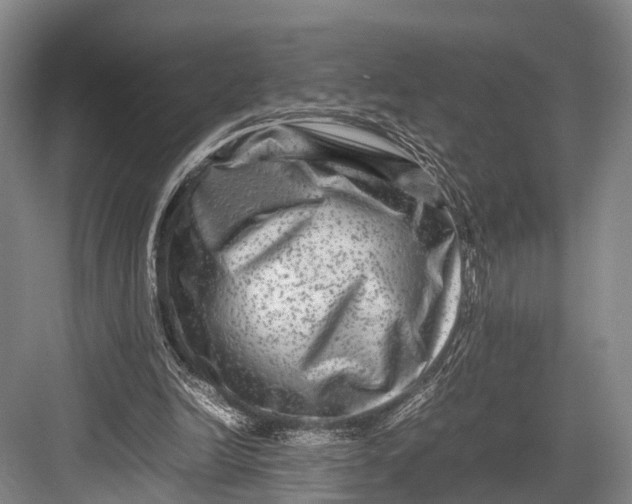 X0000082720246200702161848