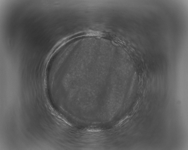 X0000082720247200702161848