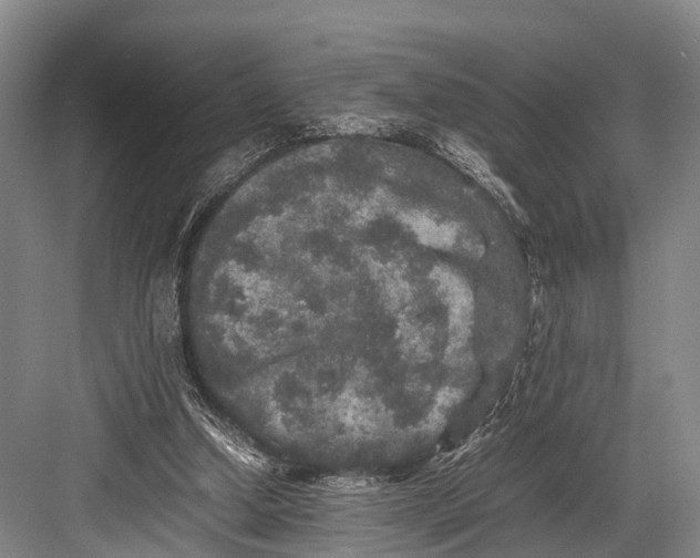 X0000082720250200702161849