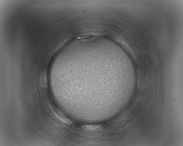 X0000082720251200702161849