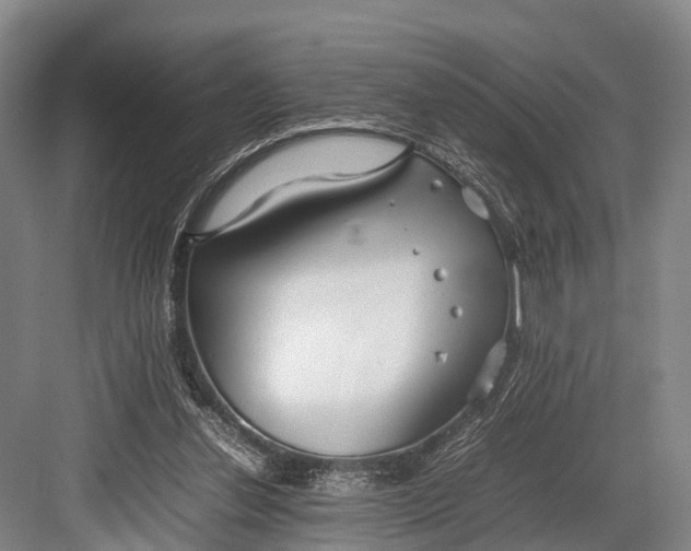 X0000082720252200702161849