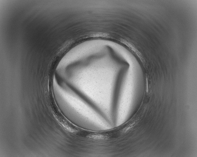 X0000082720253200702161849