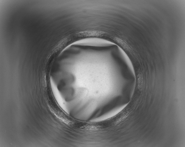 X0000082720254200702161849