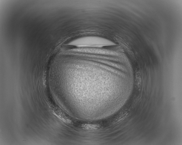 X0000082720255200702161849