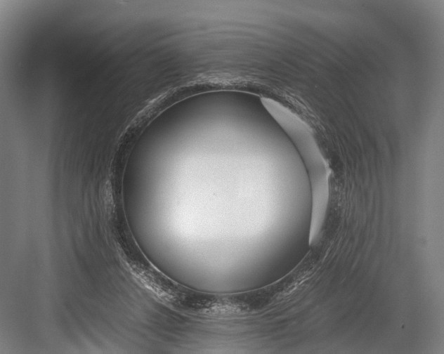 X0000082720256200702161849