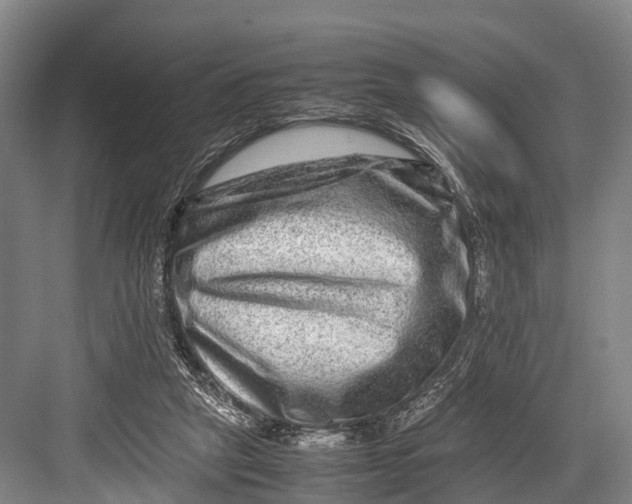 X0000082720257200702161849