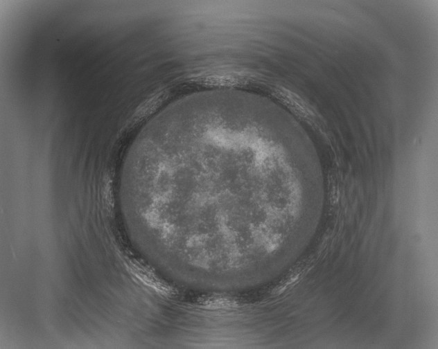 X0000082720258200702161849