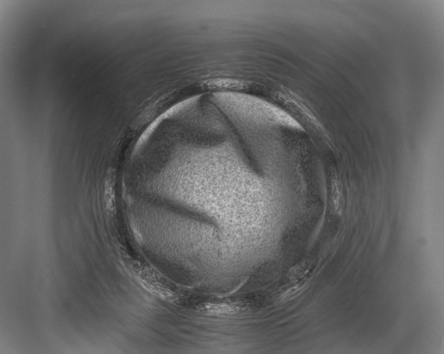 X0000082720259200702161849