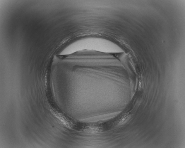 X0000082720260200702161849