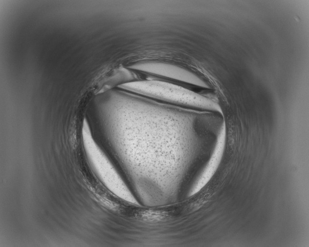 X0000082720261200702161849