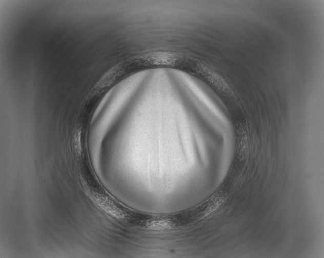 X0000082720262200702161849