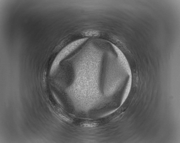 X0000082720263200702161849