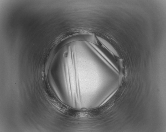 X0000082720264200702161849