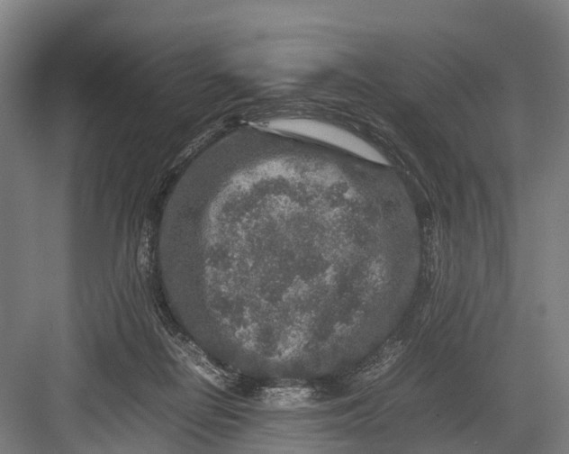 X0000082720266200702161849