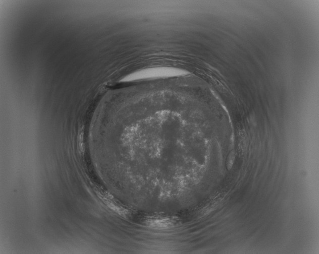 X0000082720267200702161849