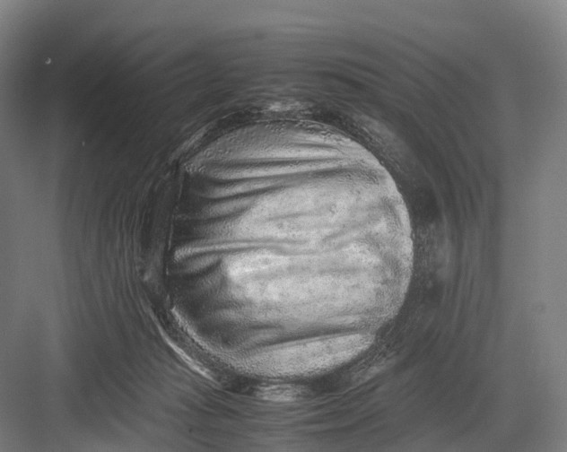 X0000082720269200702161849