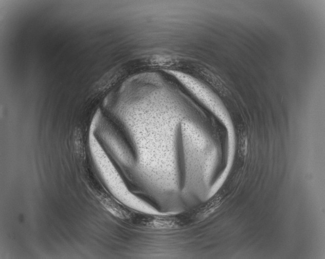 X0000082720270200702161849