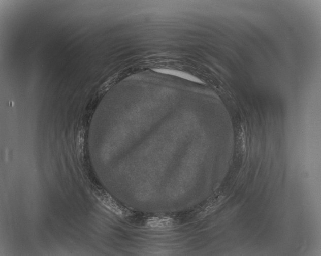 X0000082720271200702161849