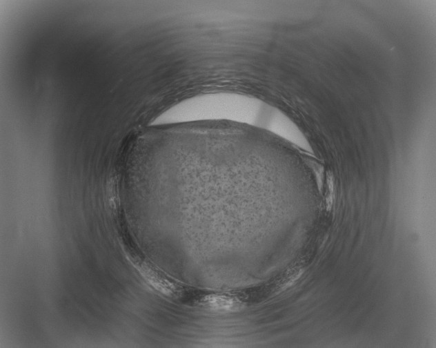 X0000082720272200702161849