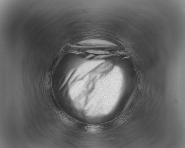 X0000082720273200702161849