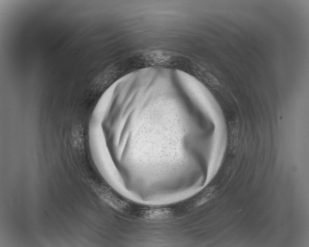 X0000082720274200702161849