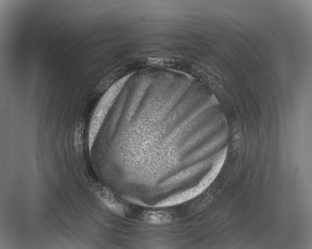 X0000082720275200702161849