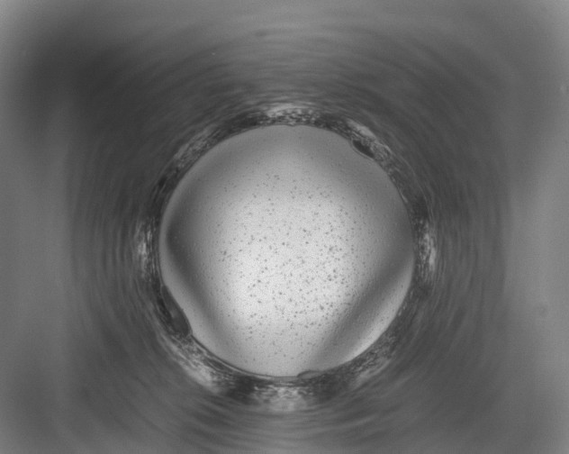 X0000082720276200702161849