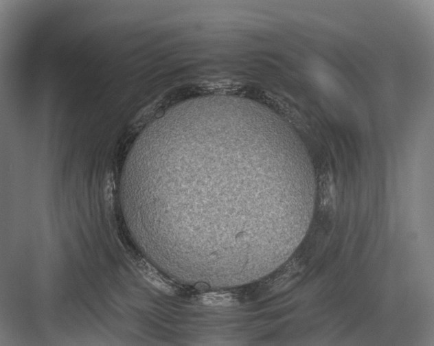 X0000082720279200702161849