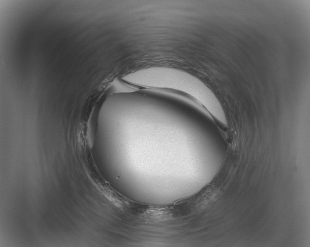 X0000082720280200702161849